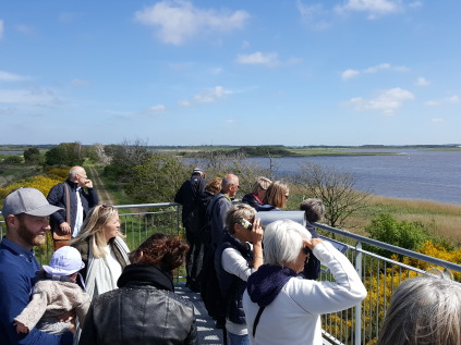 kirkebyvad filsø fugle johannes larsen