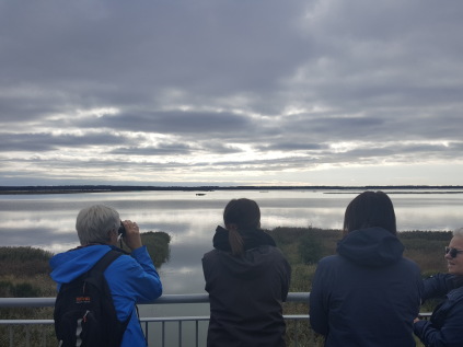 filsø havørn odder fugletårn naturpark vesterhavet destination vesterhavet