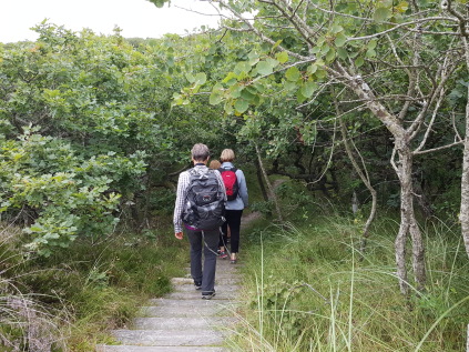 løvklitten kærgård klitplantage tilsandede ege naturpark vesterhavet destination vesterhavet