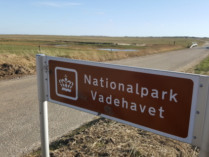 skallingen strand vesterhavet nationalpark vadehavet unesco verdensarv