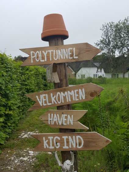 krohaven henne kirkeby kro