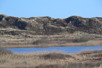 gammelgab nymindegab naturpark vesterhavet vandretur vandring