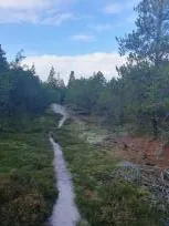 kyndelmisse vandring vandretur sæberiget ho