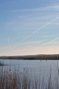 gammelgab nymindegab naturpark vesterhavet vandretur vandring