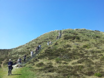 gråmule bjerg kærgård klitplantage filsø picnic mors dag