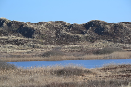 gammelgab nymindegab naturpark vesterhavet vandretur vandring