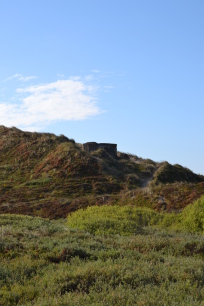 snapsetur meretevigen houstrup strand naturpark vesterhavet