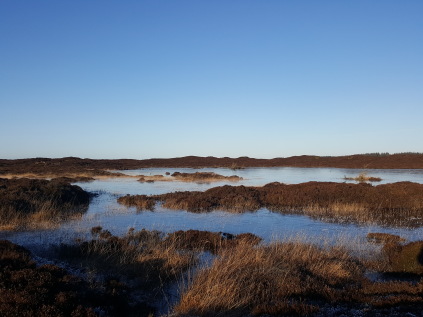 Christen Lyngbo, Maler Lyngbo, Lyngbos Hede, Henne Strand