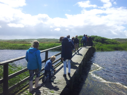 hugorm hugormetur hugormesafari nymindegab guidet tur krybdyr familietur