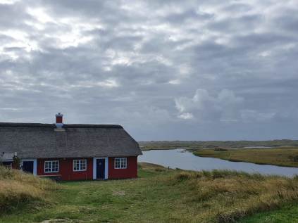 nymindestrømmen nymindegabmaleren