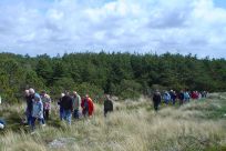 krondyr filsø kærgård klitplantage grærup langsø merete vigen formidling guidede ture naturpark vesterhavet