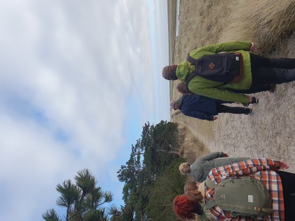 skallingen blåvand ho vadehavet nationalpark vandregæster vandring