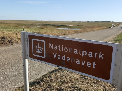 nationalpark vadehavet, skallingen, vandretur