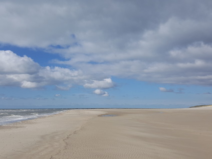 skallingen strand vesterhavet nationalpark vadehavet