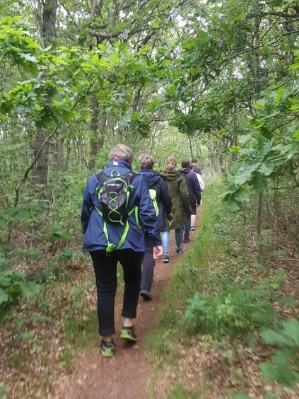 danhostel nymindegab lindvig vandreophold vandring løvklitten de tilsandede ege kærgård klitplantage