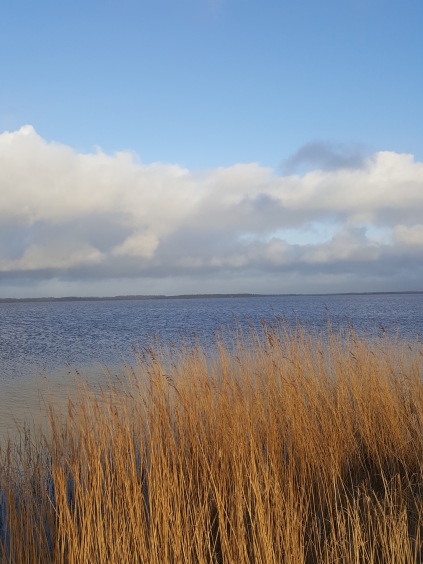 filsø naturpark vesterhavet vinterferie