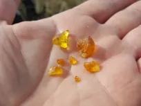 rav bernstein amber