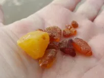 guidet tur filsø nymindegab vandre vandring vandreophold tuxen johannes larsen naturpark vesterhavet