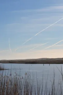 gammelgab nymindegab naturpark vesterhavet vandretur vandring