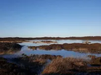 Christen Lyngbo, Maler Lyngbo, Lyngbos Hede, Henne Strand