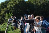 filsøhonning filsø honning filsø hede lyng