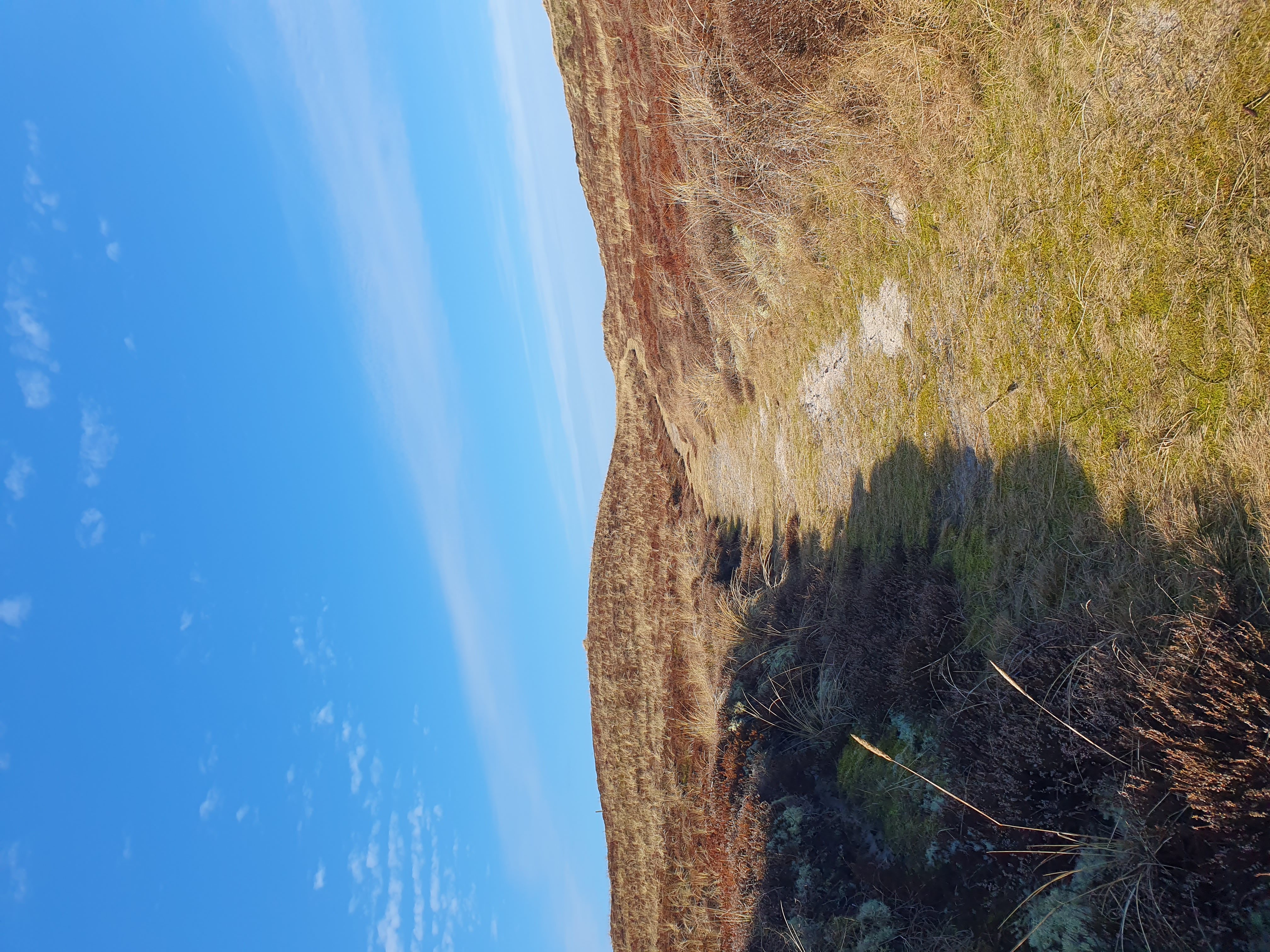 bjerregård hede vandretur merete vigen