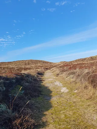 klitlandskab klithede